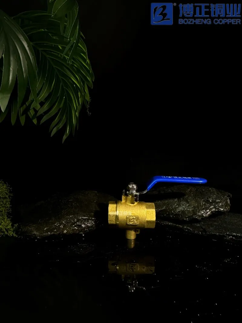 20241115155558 20241115155558